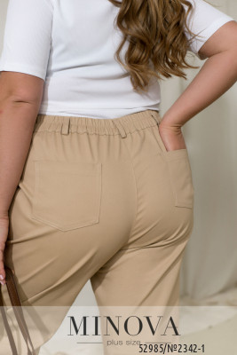 Джинси №2342-1-бежевий_minova_6