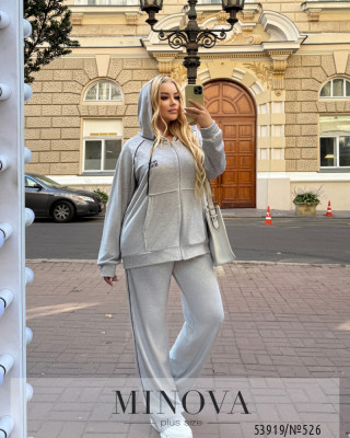 Спортивний костюм №526-світло-сірий_minova_5