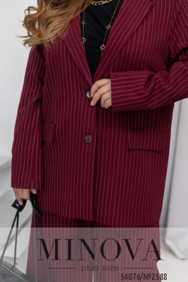Піджак №2588-бордо_minova_6