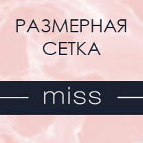 Параметры модели MISS